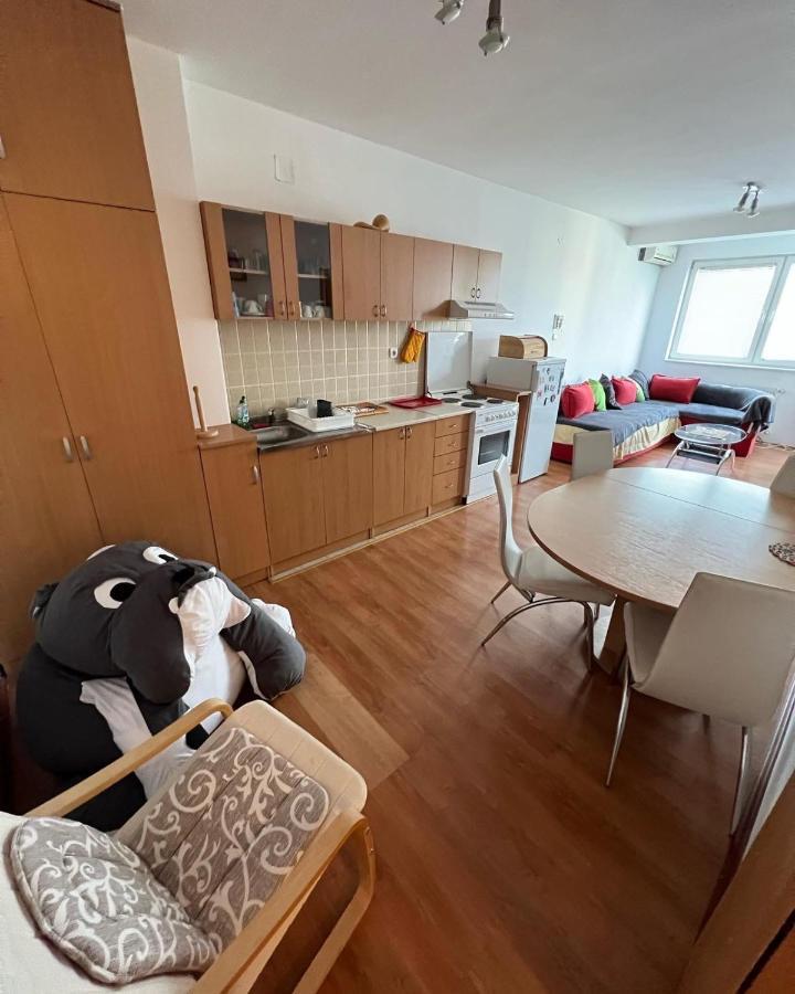 Požarevac Apartments D&D מראה חיצוני תמונה